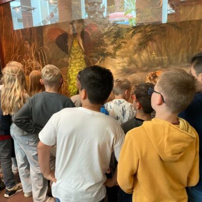 de26ed23-8d36-47e2-9b66-dd63ece80cb3